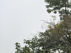 -大湾区中央湿地公园
