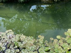 -三里河公园