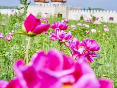 -坝上草原大汗行宫旅游景区