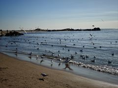 -老虎石海上公园