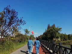 -上海长兴岛郊野公园