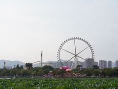 -庾园