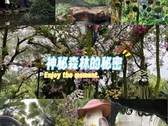 -南宁南湖公园