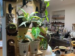 -本無咖啡·BeanWood Coffee
