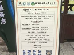 -西双版纳原始森林公园