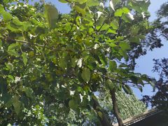 -张掖大佛寺景区