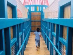 -季高兔窝窝亲子园(上海薰衣草公园店)