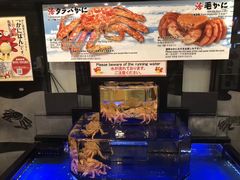 -蟹道乐(道顿堀本店)