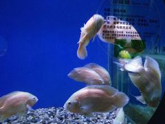 -南昌融创海世界