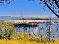 -野鸭湖国家湿地公园