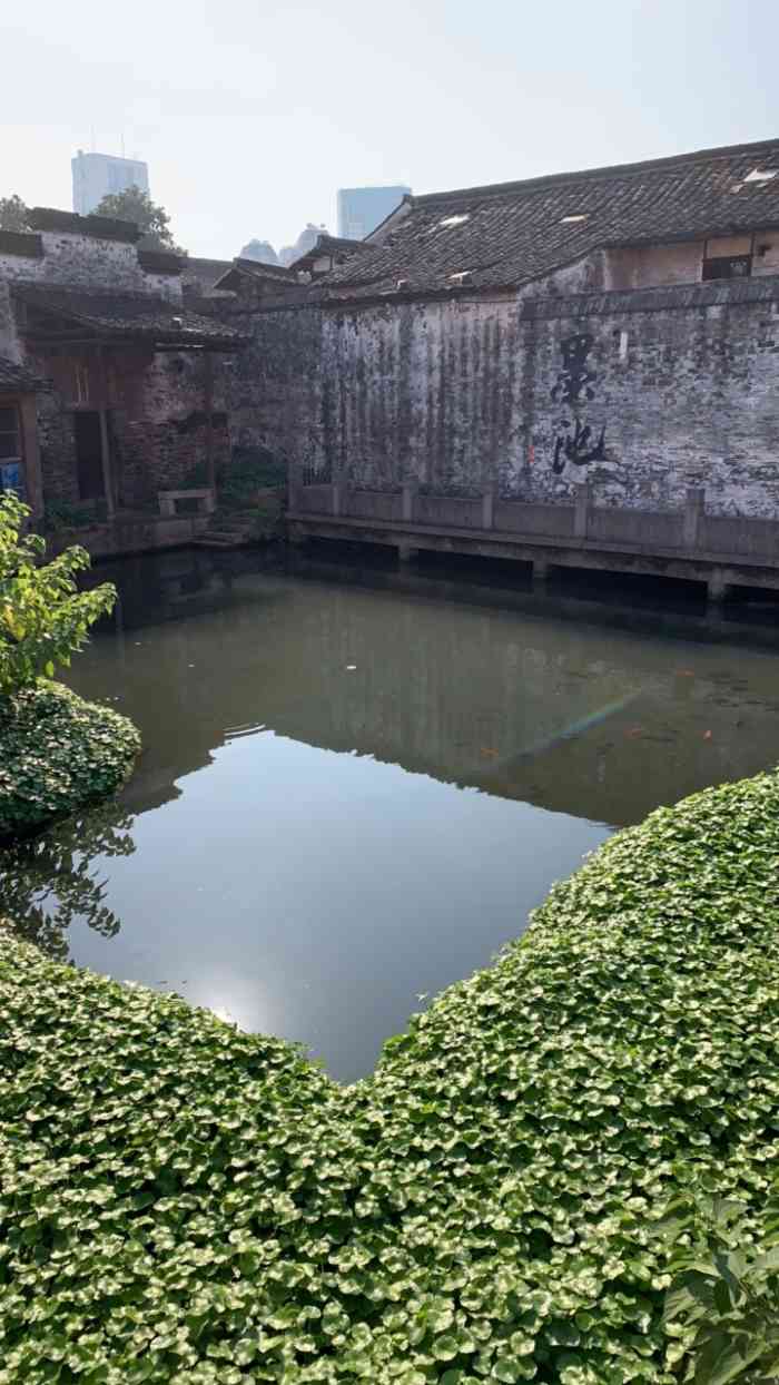 墨池-"书圣故里的马拉松提前一天去的,还可以到."-大众点评移动版