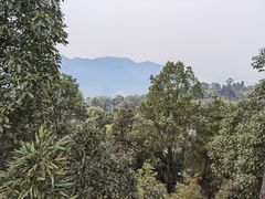 -南山植物园