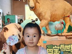 -陕西自然博物馆