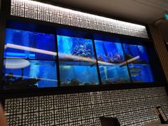 -新加坡海鲜共和(名胜世界圣淘沙海滨坊)