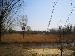 -东郊湿地公园
