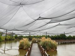 -鄱阳湖国家湿地公园