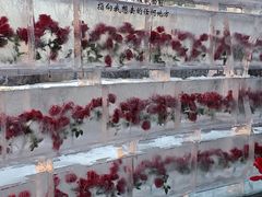 -万达广场(龙湖店)