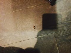 -星巴克(苏州泰华店)