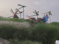 -密云玫瑰情园