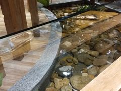 -小城粥道·海胆鲜虾粥(解放广场店)
