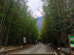 -蝴蝶泉公园