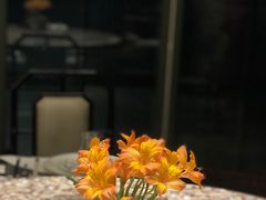 -临江宴(陆家嘴店)
