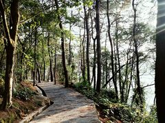 -铁山坪森林公园