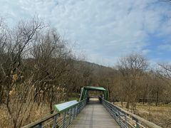 -西湖风景区-江洋畈生态公园