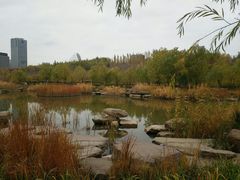 -小绿谷公园