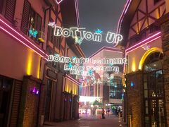 -第35届青岛国际啤酒节