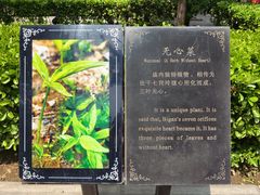 -比干庙景区
