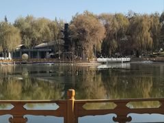 -金城公园