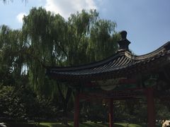 -万柳阁小馆·花园餐厅(龙潭湖店)