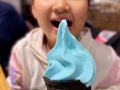 冰淇淋-小大董·烤鸭(五棵松店)