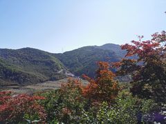 -龙道沟景区