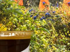 -山下C5cafe(惠通时代广场店)