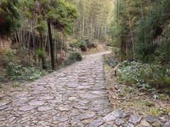 -仙霞关景区