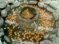-大顶子山温泉旅游区