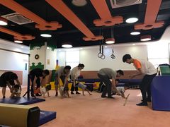 -爱威盛亲子俱乐部·纽约国际早托中心