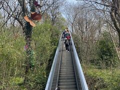 -天目湖山水园