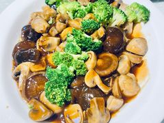 鲍汁四宝蔬-峨嵋酒家总店(车公庄店)