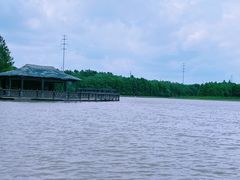 -上海海湾国家森林公园