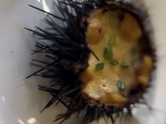 -渔公码头·九龙湾国际饭店