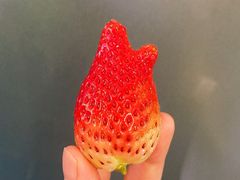 -幸福荣耀生鲜超市(和平街店)