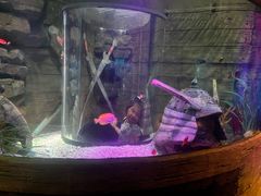 -沈阳海洋探索中心