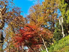 -莫干山风景区