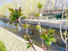 -元大都城垣遗址公园