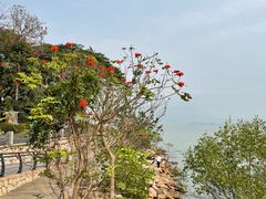 -深圳湾公园(南山区)