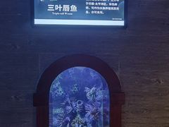 -太平洋海底世界