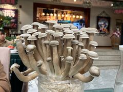 -天毓山庄·餐厅